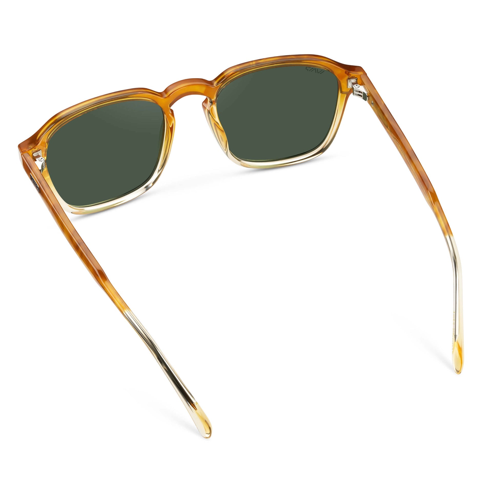 Francis | Polarized