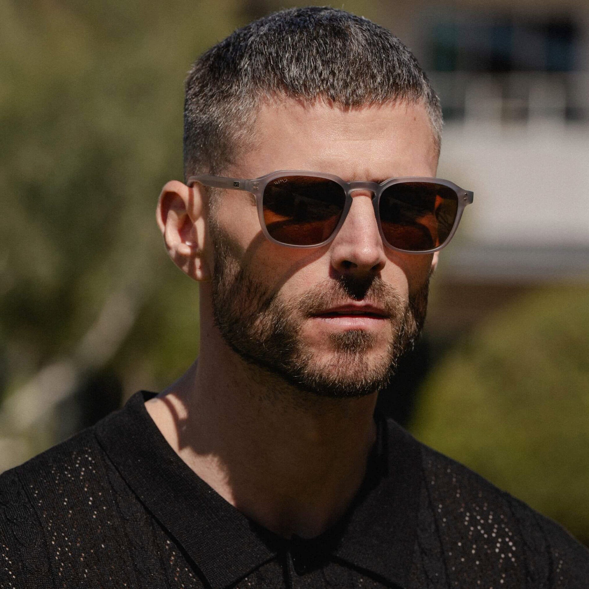 Francis | Polarized
