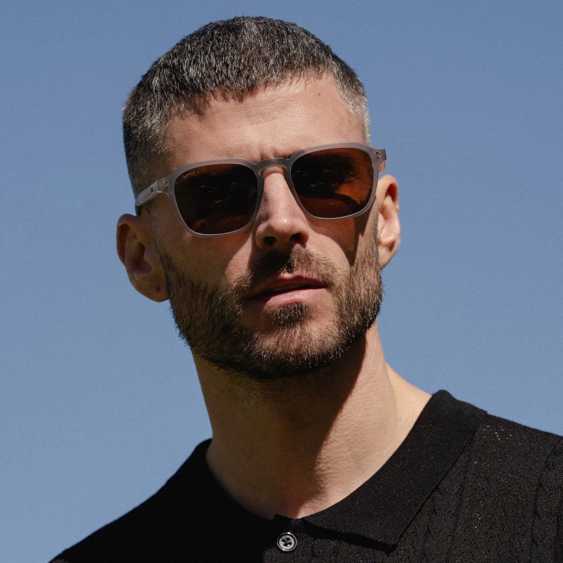Francis | Polarized
