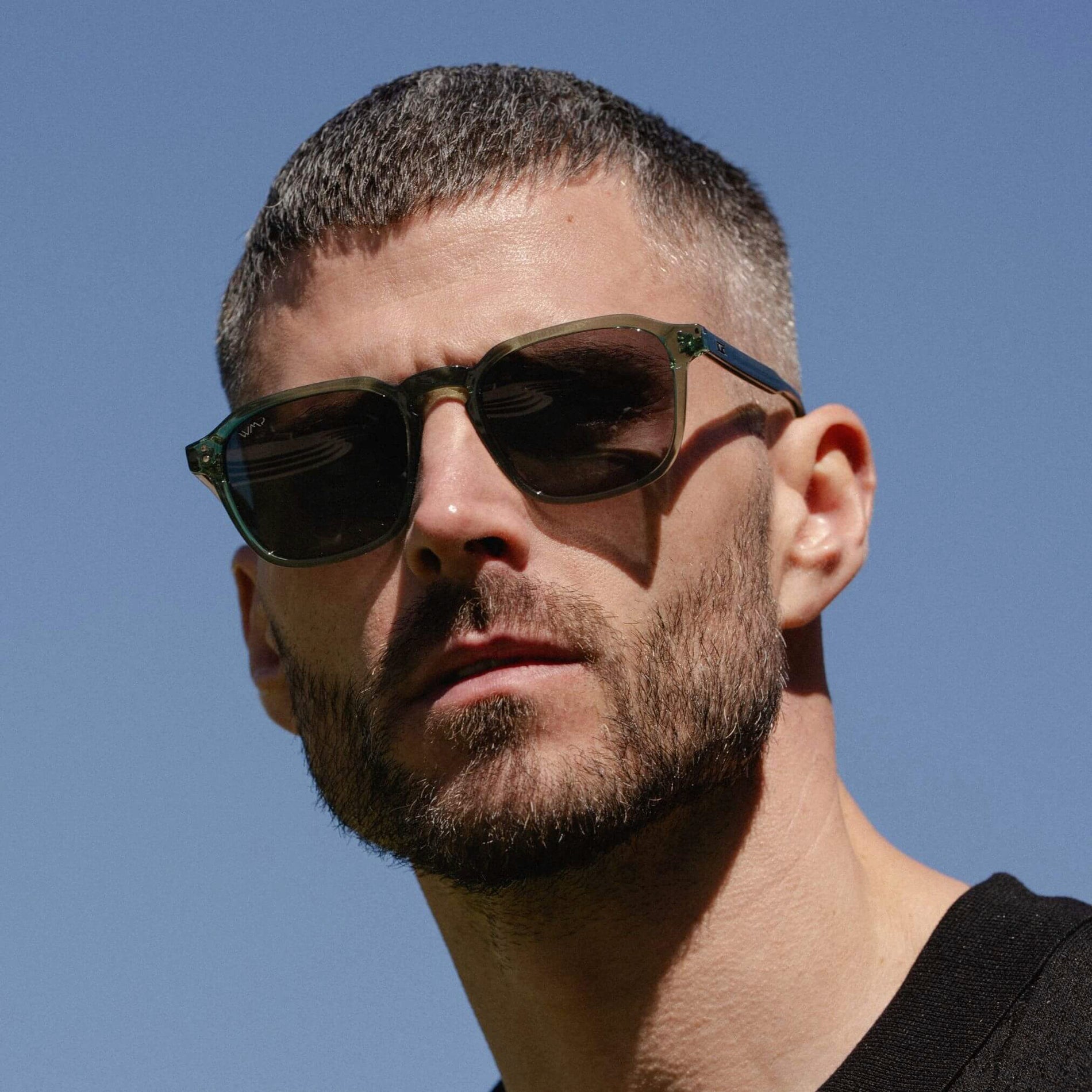 Francis | Polarized