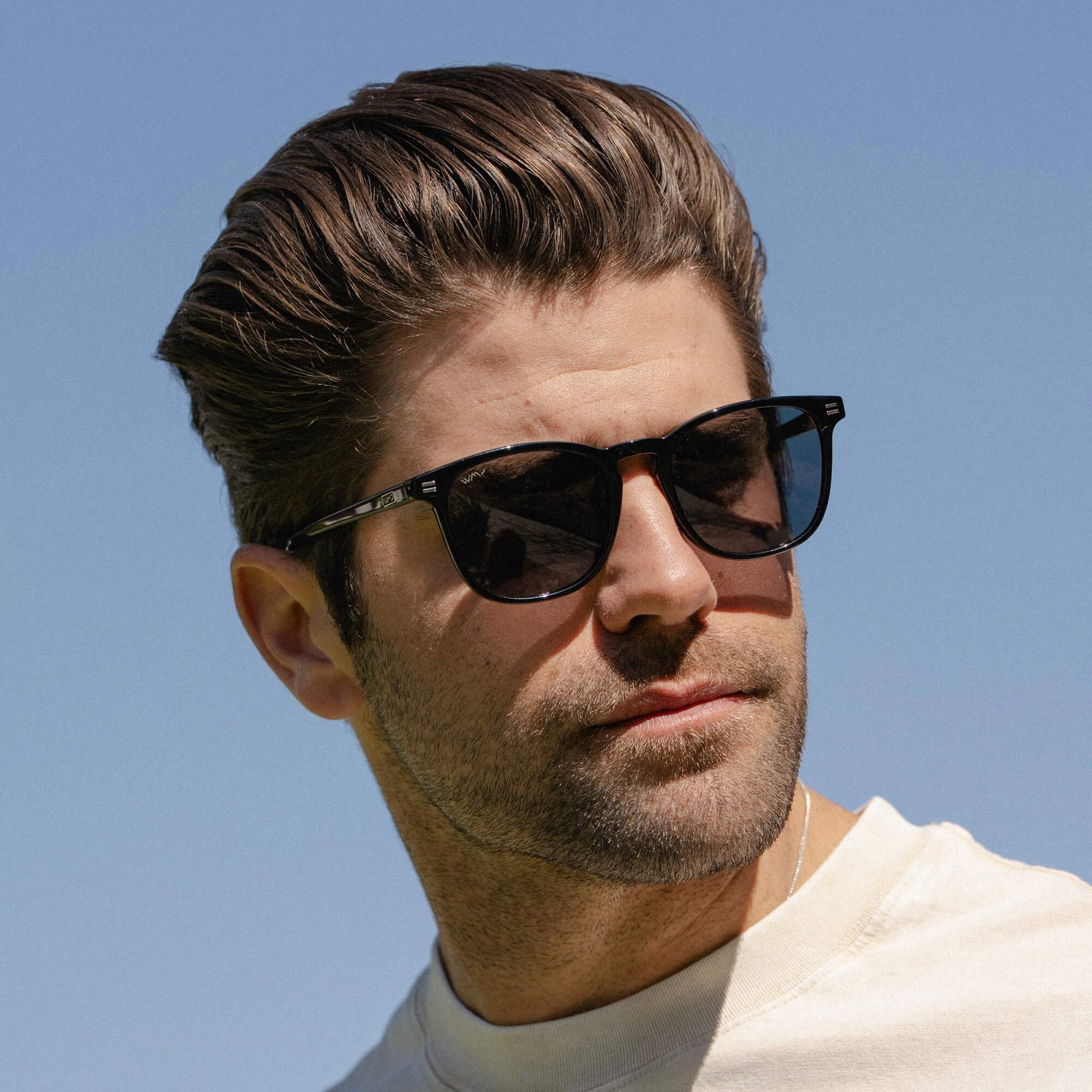 Nick | Polarized
