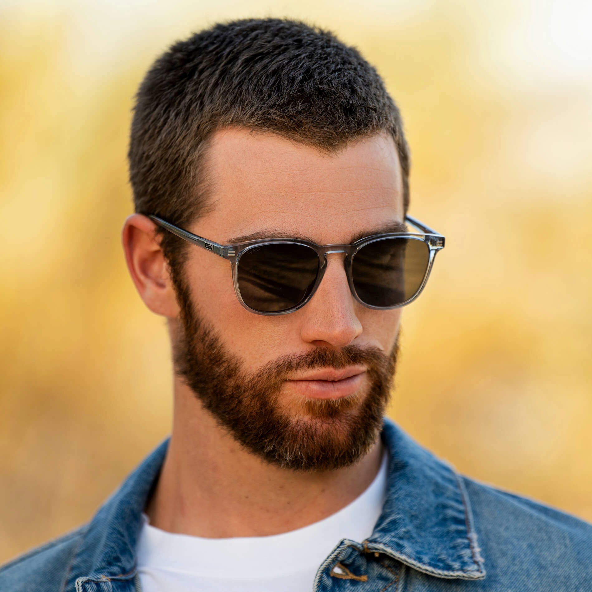 Nick | Polarized