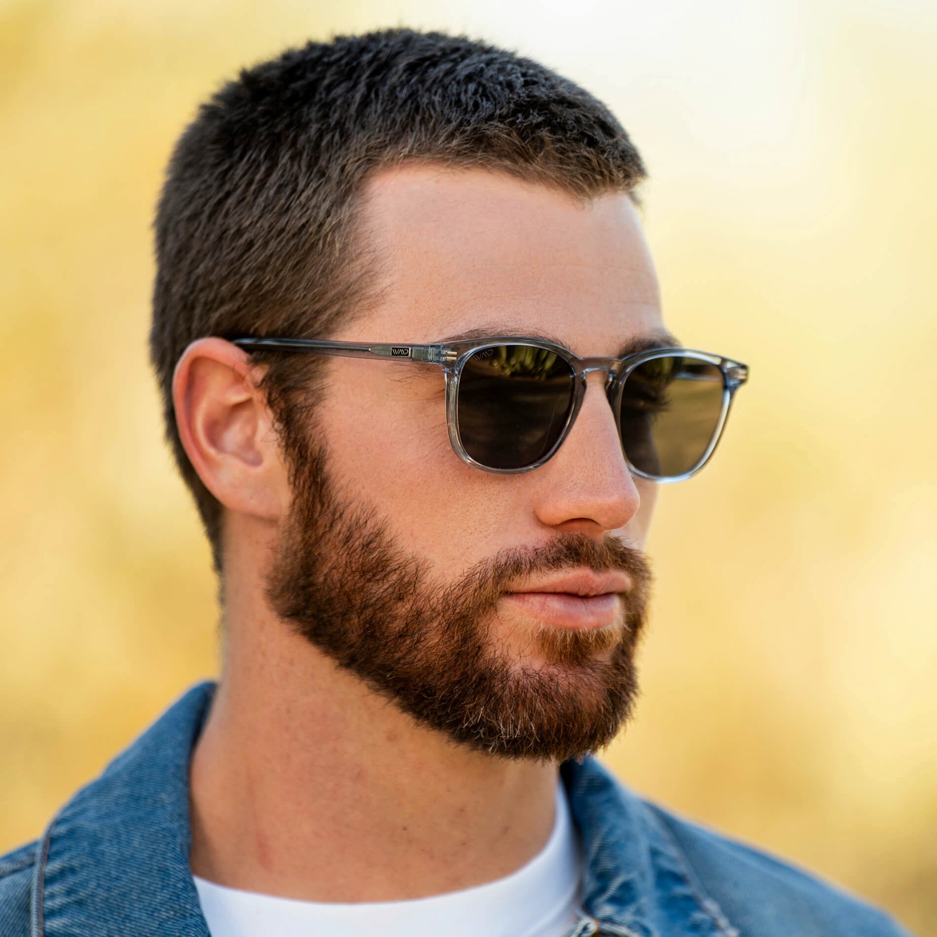 Nick | Polarized