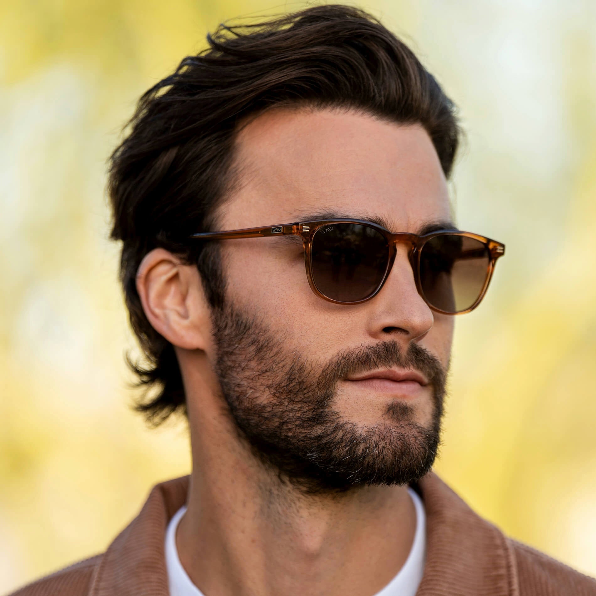 Nick | Polarized