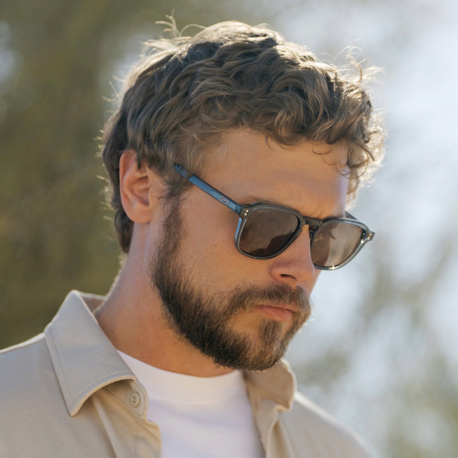 Francis | Polarized